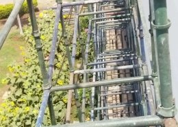 Cuplock Scaffolding System